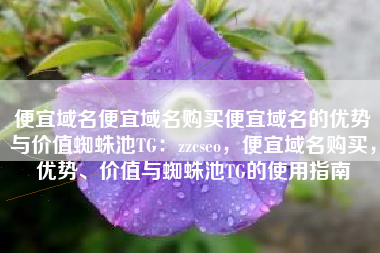 便宜域名便宜域名购买便宜域名的优势与价值蜘蛛池TG：zzcseo，便宜域名购买，优势、价值与蜘蛛池TG的使用指南