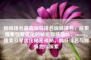 蜘蛛排名最毒蜘蛛排名蜘蛛排名，探索搜索引擎优化的秘密蜘蛛池TG：zzcseo，搜索引擎优化秘密揭秘，蜘蛛排名与蜘蛛池TG探索