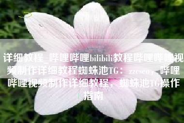 详细教程_哔哩哔哩bilibili教程哔哩哔哩视频制作详细教程蜘蛛池TG：zzcseo，哔哩哔哩视频制作详细教程，蜘蛛池TG操作指南