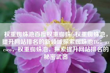 权重蜘蛛池百度权重蜘蛛ip权重蜘蛛池，提升网站排名的新领域探索蜘蛛池TG：zzcseo，权重蜘蛛池，探索提升网站排名的秘密武器