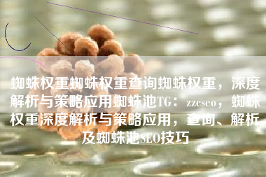 蜘蛛权重蜘蛛权重查询蜘蛛权重，深度解析与策略应用蜘蛛池TG：zzcseo，蜘蛛权重深度解析与策略应用，查询、解析及蜘蛛池SEO技巧