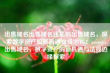 出售域名出售域名违法吗出售域名，探索数字资产的新机遇蜘蛛池TG：zzcseo，出售域名，数字资产的新机遇与法规边缘探索