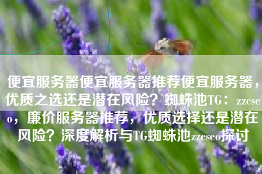 便宜服务器便宜服务器推荐便宜服务器，优质之选还是潜在风险？蜘蛛池TG：zzcseo，廉价服务器推荐，优质选择还是潜在风险？深度解析与TG蜘蛛池zzcseo探讨