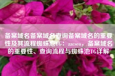 备案域名备案域名查询备案域名的重要性及其流程蜘蛛池TG：zzcseo，备案域名的重要性、查询流程与蜘蛛池TG详解