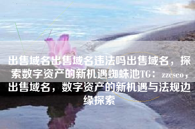 出售域名出售域名违法吗出售域名，探索数字资产的新机遇蜘蛛池TG：zzcseo，出售域名，数字资产的新机遇与法规边缘探索