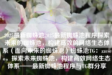 2025最新蜘蛛池2025最新蜘蛛池程序探索未来的蜘蛛池，构建高效的网络生态体系（面向未来的蜘蛛池）蜘蛛池TG：zzcseo，探索未来蜘蛛池，构建高效网络生态体系——最新蜘蛛池程序与TG群分享