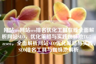 网站seo网站seo排名优化工具在线全面解析网站SEO，优化策略与实践蜘蛛池TG：zzcseo，全面解析网站SEO优化策略与实践，SEO排名工具与蜘蛛池解析