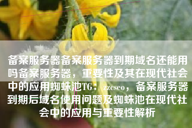 备案服务器备案服务器到期域名还能用吗备案服务器，重要性及其在现代社会中的应用蜘蛛池TG：zzcseo，备案服务器到期后域名使用问题及蜘蛛池在现代社会中的应用与重要性解析