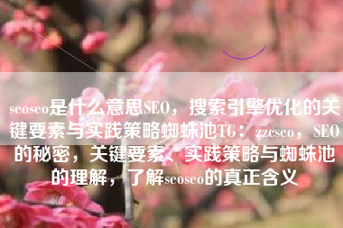 seoseo是什么意思SEO，搜索引擎优化的关键要素与实践策略蜘蛛池TG：zzcseo，SEO的秘密，关键要素、实践策略与蜘蛛池的理解，了解seoseo的真正含义