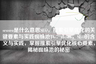 seoseo是什么意思SEO，搜索引擎优化的关键要素与实践蜘蛛池TG：zzcseo，SEO的含义与实践，掌握搜索引擎优化核心要素，揭秘蜘蛛池的秘密