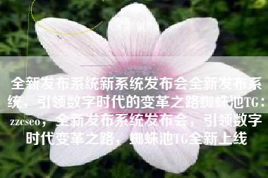 全新发布系统新系统发布会全新发布系统，引领数字时代的变革之路蜘蛛池TG：zzcseo，全新发布系统发布会，引领数字时代变革之路，蜘蛛池TG全新上线
