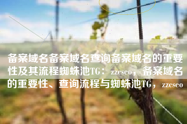 备案域名备案域名查询备案域名的重要性及其流程蜘蛛池TG：zzcseo，备案域名的重要性、查询流程与蜘蛛池TG，zzcseo