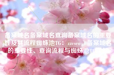 备案域名备案域名查询备案域名的重要性及其流程蜘蛛池TG：zzcseo，备案域名的重要性、查询流程与蜘蛛池TG详解