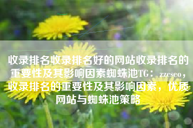 收录排名收录排名好的网站收录排名的重要性及其影响因素蜘蛛池TG：zzcseo，收录排名的重要性及其影响因素，优质网站与蜘蛛池策略