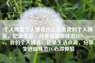 个人博客个人博客什么意思我的个人博客，记录生活，分享点滴蜘蛛池TG：zzcseo，我的个人博客，记录生活点滴，分享生活蜘蛛池TG心得体验
