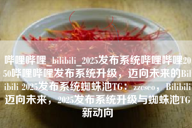 哔哩哔哩_bilibili_2025发布系统哔哩哔哩2050哔哩哔哩发布系统升级，迈向未来的Bilibili 2025发布系统蜘蛛池TG：zzcseo，Bilibili迈向未来，2025发布系统升级与蜘蛛池TG新动向