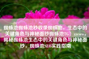 蜘蛛池蜘蛛池秒收录蜘蛛池，生态中的关键角色与神秘面纱蜘蛛池TG：zzcseo，揭秘蜘蛛池生态中的关键角色与神秘面纱，蜘蛛池SEO实践指南