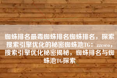 蜘蛛排名最毒蜘蛛排名蜘蛛排名，探索搜索引擎优化的秘密蜘蛛池TG：zzcseo，搜索引擎优化秘密揭秘，蜘蛛排名与蜘蛛池TG探索