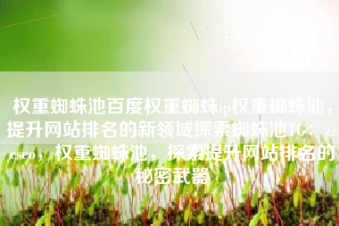 权重蜘蛛池百度权重蜘蛛ip权重蜘蛛池，提升网站排名的新领域探索蜘蛛池TG：zzcseo，权重蜘蛛池，探索提升网站排名的秘密武器