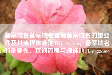 备案域名备案域名查询备案域名的重要性及其流程蜘蛛池TG：zzcseo，备案域名的重要性、查询流程与蜘蛛池TG，zzcseo