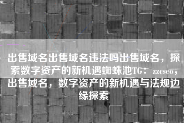 出售域名出售域名违法吗出售域名，探索数字资产的新机遇蜘蛛池TG：zzcseo，出售域名，数字资产的新机遇与法规边缘探索