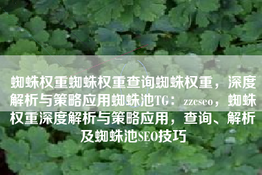 蜘蛛权重蜘蛛权重查询蜘蛛权重，深度解析与策略应用蜘蛛池TG：zzcseo，蜘蛛权重深度解析与策略应用，查询、解析及蜘蛛池SEO技巧