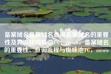 备案域名备案域名查询备案域名的重要性及其流程蜘蛛池TG：zzcseo，备案域名的重要性、查询流程与蜘蛛池TG，zzcseo
