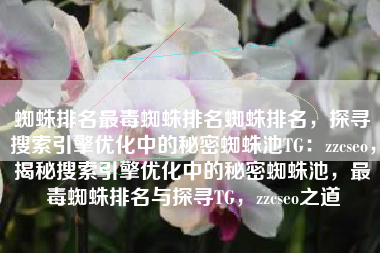 蜘蛛排名最毒蜘蛛排名蜘蛛排名，探寻搜索引擎优化中的秘密蜘蛛池TG：zzcseo，揭秘搜索引擎优化中的秘密蜘蛛池，最毒蜘蛛排名与探寻TG，zzcseo之道