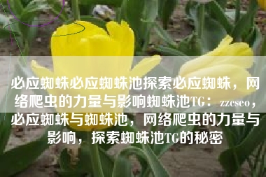 必应蜘蛛必应蜘蛛池探索必应蜘蛛，网络爬虫的力量与影响蜘蛛池TG：zzcseo，必应蜘蛛与蜘蛛池，网络爬虫的力量与影响，探索蜘蛛池TG的秘密