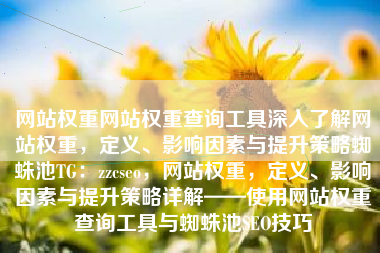 网站权重网站权重查询工具深入了解网站权重，定义、影响因素与提升策略蜘蛛池TG：zzcseo，网站权重，定义、影响因素与提升策略详解——使用网站权重查询工具与蜘蛛池SEO技巧