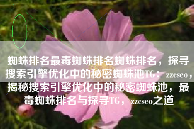 蜘蛛排名最毒蜘蛛排名蜘蛛排名，探寻搜索引擎优化中的秘密蜘蛛池TG：zzcseo，揭秘搜索引擎优化中的秘密蜘蛛池，最毒蜘蛛排名与探寻TG，zzcseo之道
