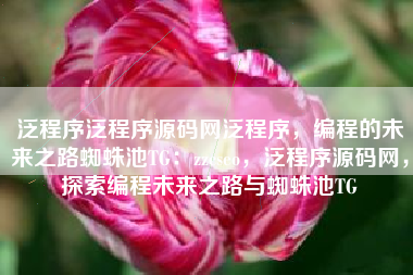 泛程序泛程序源码网泛程序，编程的未来之路蜘蛛池TG：zzcseo，泛程序源码网，探索编程未来之路与蜘蛛池TG