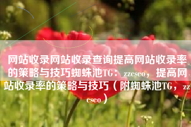 网站收录网站收录查询提高网站收录率的策略与技巧蜘蛛池TG：zzcseo，提高网站收录率的策略与技巧（附蜘蛛池TG，zzcseo）