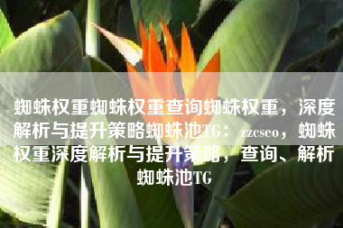 蜘蛛权重蜘蛛权重查询蜘蛛权重，深度解析与提升策略蜘蛛池TG：zzcseo，蜘蛛权重深度解析与提升策略，查询、解析蜘蛛池TG