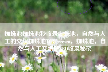 蜘蛛池蜘蛛池秒收录蜘蛛池，自然与人工的交织蜘蛛池TG：zzcseo，蜘蛛池，自然与人工交织的SEO收录秘密