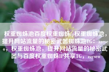 权重蜘蛛池百度权重蜘蛛ip权重蜘蛛池，提升网站流量的秘密武器蜘蛛池TG：zzcseo，权重蜘蛛池，提升网站流量的秘密武器与百度权重蜘蛛IP共享TG，zzcseo
