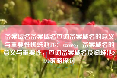 备案域名备案域名查询备案域名的意义与重要性蜘蛛池TG：zzcseo，备案域名的意义与重要性，查询备案域名及蜘蛛池SEO策略探讨