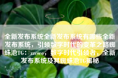 全新发布系统全新发布系统有哪些全新发布系统，引领数字时代的变革之路蜘蛛池TG：zzcseo，数字时代引领者，全新发布系统及其蜘蛛池TG揭秘