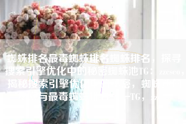 蜘蛛排名最毒蜘蛛排名蜘蛛排名，探寻搜索引擎优化中的秘密蜘蛛池TG：zzcseo，揭秘搜索引擎优化中的秘密，蜘蛛池的秘密与最毒蜘蛛排名——TG，zzcseo