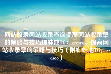 网站收录网站收录查询提高网站收录率的策略与技巧蜘蛛池TG：zzcseo，提高网站收录率的策略与技巧（附蜘蛛池TG，zzcseo）