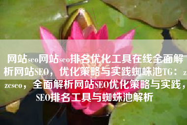 网站seo网站seo排名优化工具在线全面解析网站SEO，优化策略与实践蜘蛛池TG：zzcseo，全面解析网站SEO优化策略与实践，SEO排名工具与蜘蛛池解析