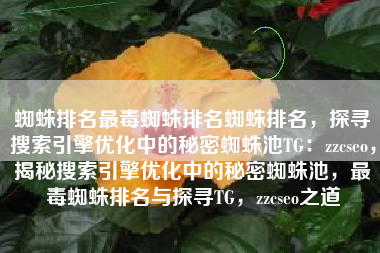 蜘蛛排名最毒蜘蛛排名蜘蛛排名，探寻搜索引擎优化中的秘密蜘蛛池TG：zzcseo，揭秘搜索引擎优化中的秘密蜘蛛池，最毒蜘蛛排名与探寻TG，zzcseo之道