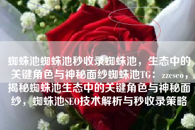 蜘蛛池蜘蛛池秒收录蜘蛛池，生态中的关键角色与神秘面纱蜘蛛池TG：zzcseo，揭秘蜘蛛池生态中的关键角色与神秘面纱，蜘蛛池SEO技术解析与秒收录策略