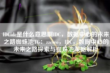 IDCidc是什么意思啊IDC，数据中心的未来之路蜘蛛池TG：zzcseo，IDC，数据中心的未来之路探索与蜘蛛池策略解析