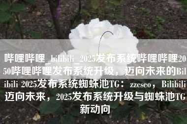 哔哩哔哩_bilibili_2025发布系统哔哩哔哩2050哔哩哔哩发布系统升级，迈向未来的Bilibili 2025发布系统蜘蛛池TG：zzcseo，Bilibili迈向未来，2025发布系统升级与蜘蛛池TG新动向