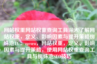 网站权重网站权重查询工具深入了解网站权重，定义、影响因素与提升策略蜘蛛池TG：zzcseo，网站权重，定义、影响因素与提升策略，使用网站权重查询工具与蜘蛛池SEO技巧
