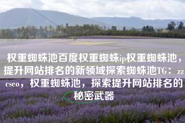 权重蜘蛛池百度权重蜘蛛ip权重蜘蛛池，提升网站排名的新领域探索蜘蛛池TG：zzcseo，权重蜘蛛池，探索提升网站排名的秘密武器