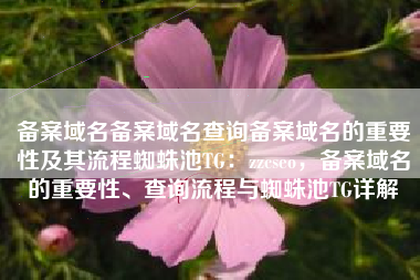 备案域名备案域名查询备案域名的重要性及其流程蜘蛛池TG：zzcseo，备案域名的重要性、查询流程与蜘蛛池TG详解