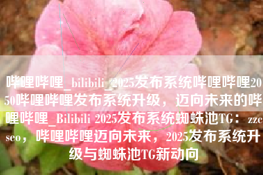 哔哩哔哩_bilibili_2025发布系统哔哩哔哩2050哔哩哔哩发布系统升级，迈向未来的哔哩哔哩_Bilibili 2025发布系统蜘蛛池TG：zzcseo，哔哩哔哩迈向未来，2025发布系统升级与蜘蛛池TG新动向