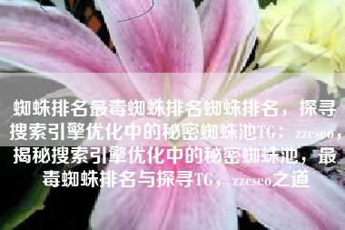 蜘蛛排名最毒蜘蛛排名蜘蛛排名，探寻搜索引擎优化中的秘密蜘蛛池TG：zzcseo，揭秘搜索引擎优化中的秘密蜘蛛池，最毒蜘蛛排名与探寻TG，zzcseo之道